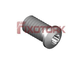 PARAFUSO TORX MOD L 60L13-L8020