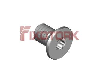 PARAFUSO TORX MOD W 60L10-W1125