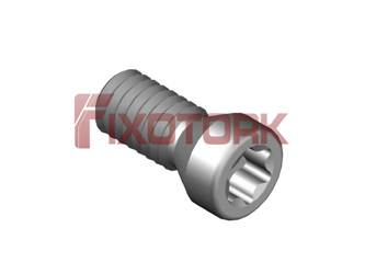 PARAFUSO TORX MOD A 25L65-A3608