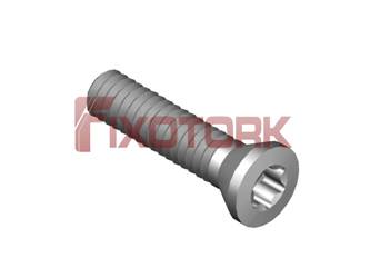 PARAFUSO TORX MOD A 30L11-A4208