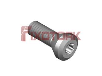 PARAFUSO TORX MOD A 30L10-A5409