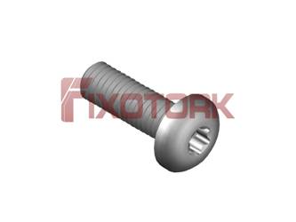 PARAFUSO TORX MOD L 50L19-L9820