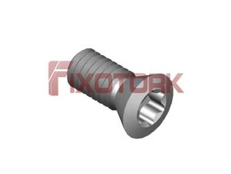 PARAFUSO TORX MOD B 25L58-B4108