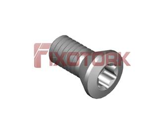 PARAFUSO TORX MOD B 35L80-B5915