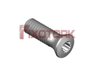 PARAFUSO TORX MOD B 25L80-B3907