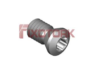 PARAFUSO TORX MOD A 50L90-A7020
