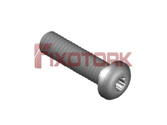 PARAFUSO TORX MOD L 60L25-L9920