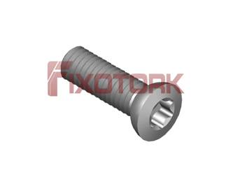 PARAFUSO TORX MOD  AJ 35L12-AJ5915