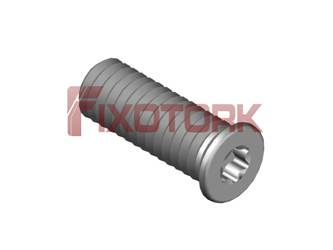 PARAFUSO TORX MOD W 40L12-W5209