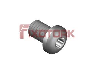 PARAFUSO TORX MOD L 60L12-L9825