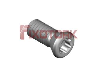 PARAFUSO TORX MOD B 30L73-B4510