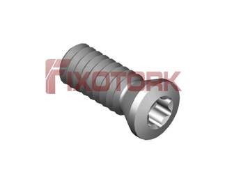 PARAFUSO TORX MOD B 22L60-B3106