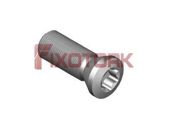PARAFUSO TORX MOD A 30L85-A4309