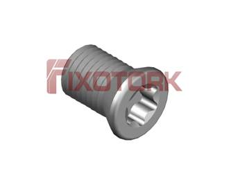 PARAFUSO TORX MOD W 40L60-W5515