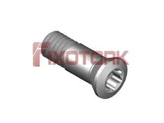 PARAFUSO TORX MOD AM 45L14-AM6720