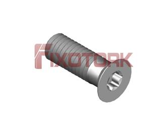 PARAFUSO TORX MOD W 45L13-W7215