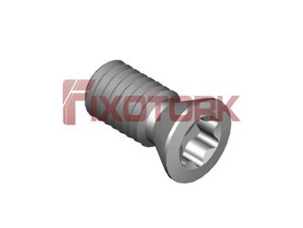 PARAFUSO TORX MOD B 30L65-B4410