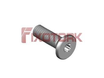 PARAFUSO TORX MOD W 30L10-W6008