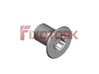 PARAFUSO TORX MOD W 40L60-W7420