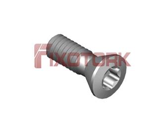 PARAFUSO TORX MOD W N6-32L10-W6015
