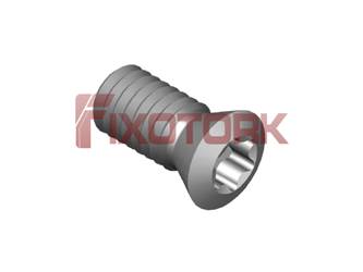 PARAFUSO TORX MOD B 40L90-B5715/55°