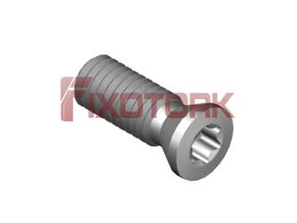 PARAFUSO TORX MOD A 30L75-A4208