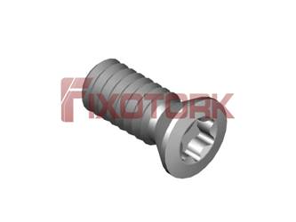 PARAFUSO TORX MOD B 20L45-B3006