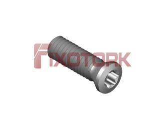 PARAFUSO TORX MOD B 40L14-B5515