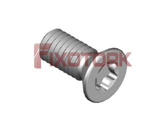 PARAFUSO TORX MOD W 30L65-W5010