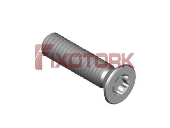 PARAFUSO TORX MOD W 30L12-W5010