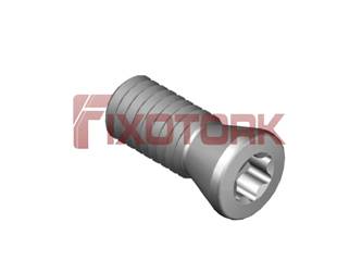 PARAFUSO TORX MOD B 35L90-B4810