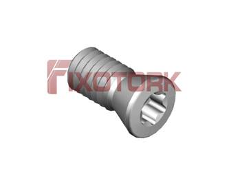PARAFUSO TORX MOD B 35L72-B4910